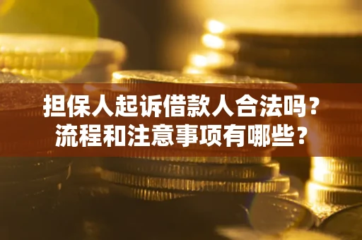 武汉担保人起诉借款人合法吗？流程和注意事项有哪些？
