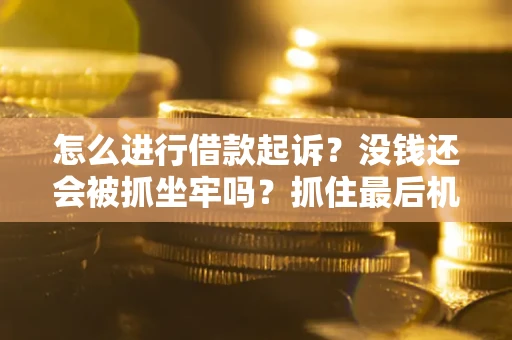 武汉怎么进行借款起诉？没钱还会被抓坐牢吗？抓住最后机会！