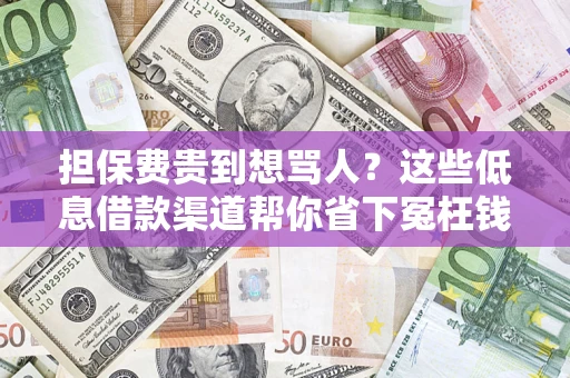 武汉担保费贵到想骂人？这些低息借款渠道帮你省下冤枉钱