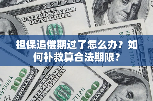 武汉担保追偿期过了怎么办？如何补救算合法期限？