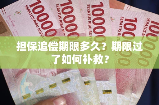武汉担保追偿期限多久？期限过了如何补救？