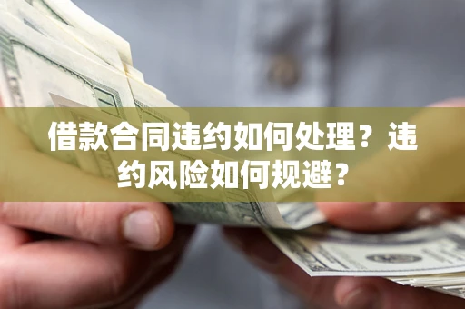 武汉借款合同违约如何处理？违约风险如何规避？