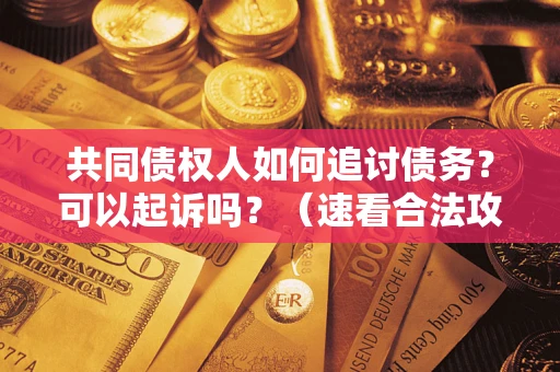 武汉共同债权人如何追讨债务？可以起诉吗？（速看合法攻略）