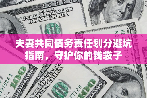 武汉夫妻共同债务责任划分避坑指南，守护你的钱袋子