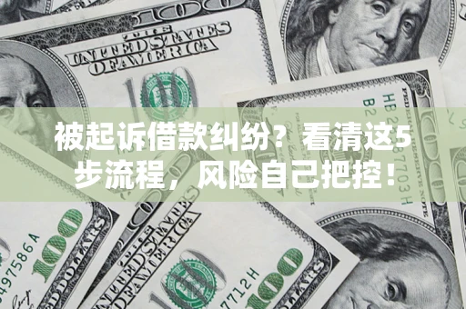 武汉被起诉借款纠纷？看清这5步流程，风险自己把控！