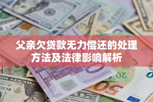 武汉父亲欠贷款无力偿还的处理方法及法律影响解析