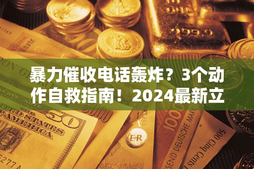 武汉暴力催收电话轰炸？3个动作自救指南！2024最新立案标准全解析