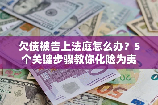 武汉欠债被告上法庭怎么办？5个关键步骤教你化险为夷