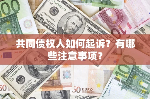 武汉共同债权人如何起诉？有哪些注意事项？